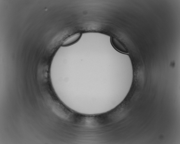 X0000116600264200912312103