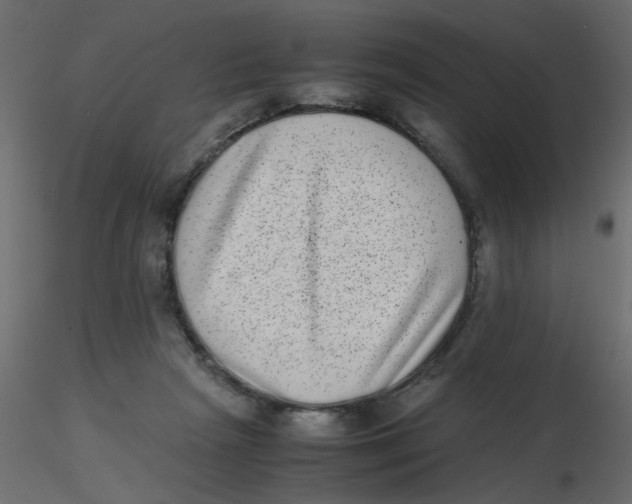 X0000116600265200912312103