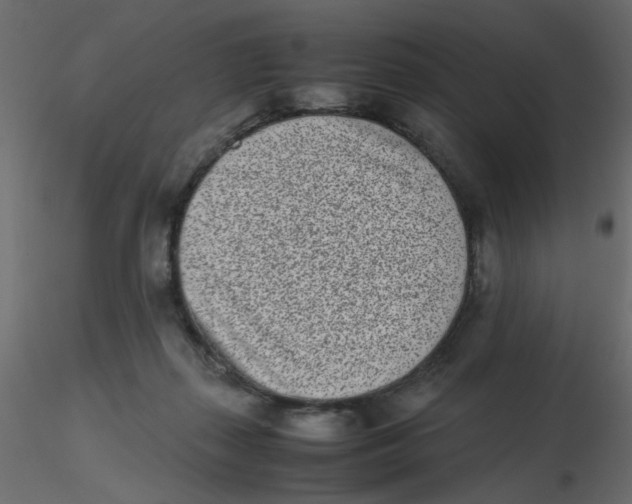 X0000116600267200912312103