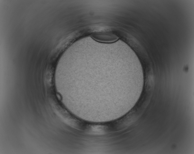 X0000116600268200912312103