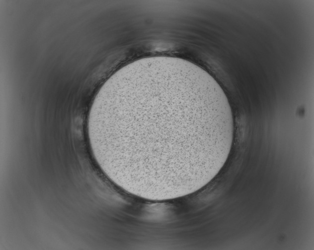 X0000116600269200912312103