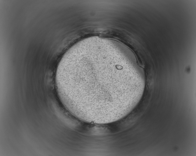 X0000116600270200912312103