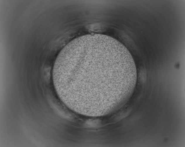 X0000116600271200912312103