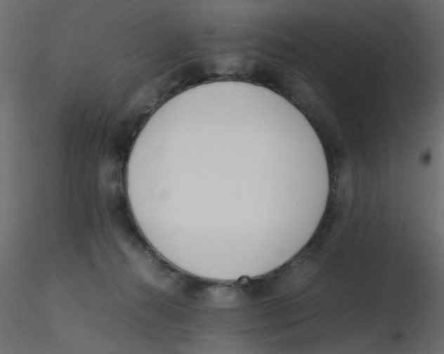 X0000116600272200912312103