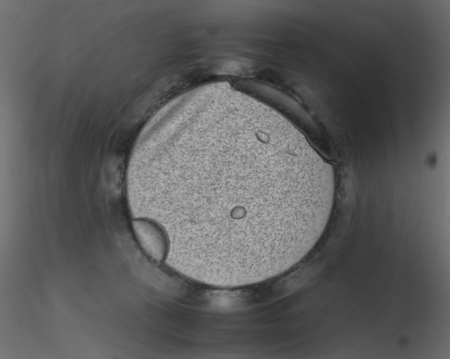 X0000116600273200912312103