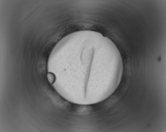 X0000116600274200912312103