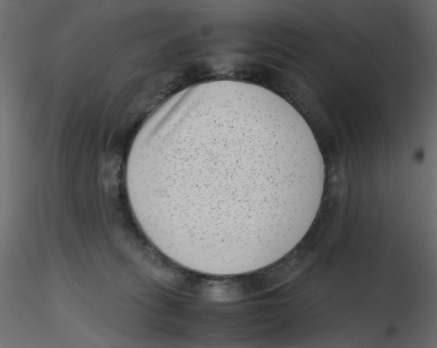 X0000116600275200912312103