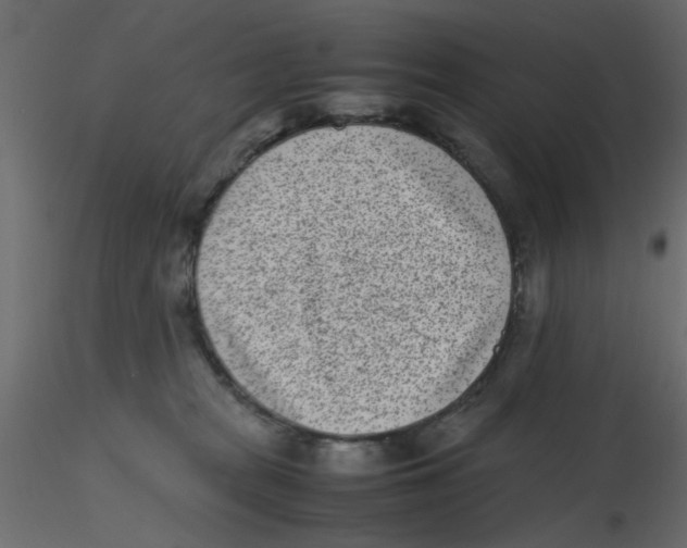 X0000116600277200912312103