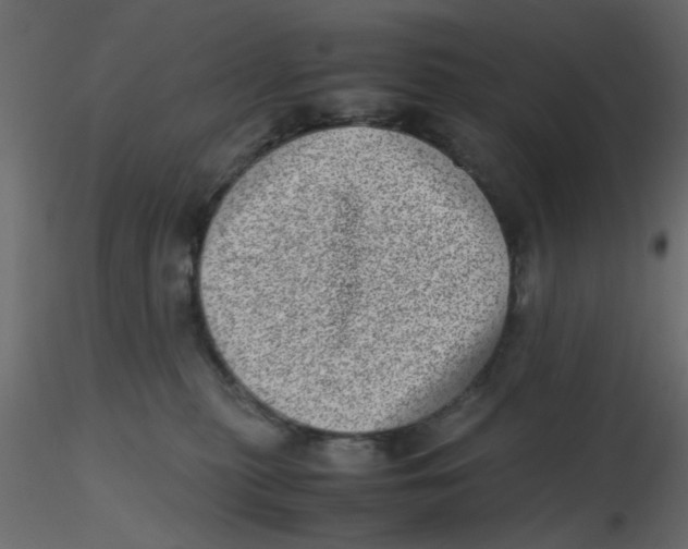 X0000116600279200912312103