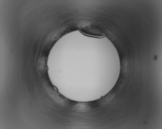 X0000116600280200912312103