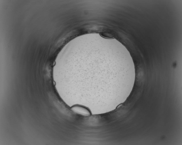 X0000116600282200912312103