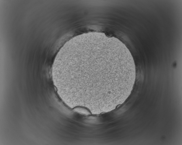 X0000116600285200912312103