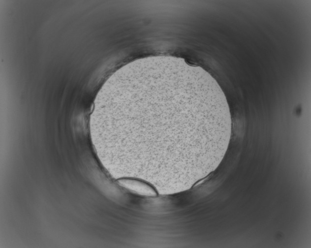 X0000116600286200912312103