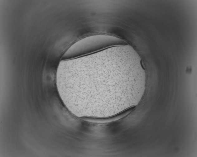 X0000116600288200912312103