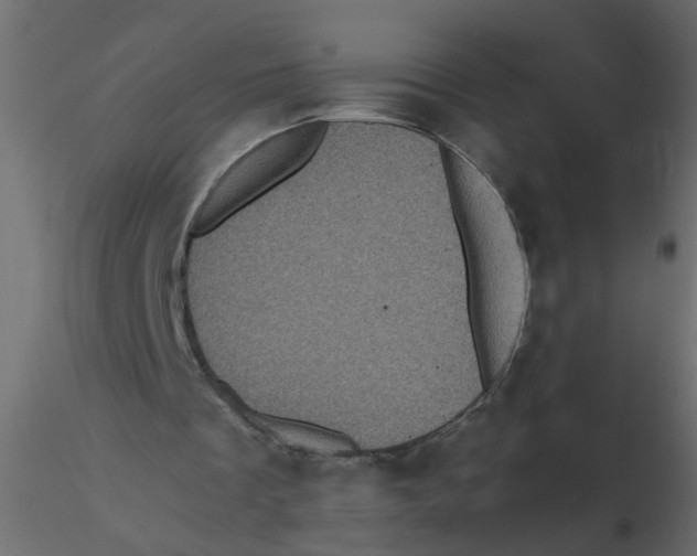 X0000116600289200912312103