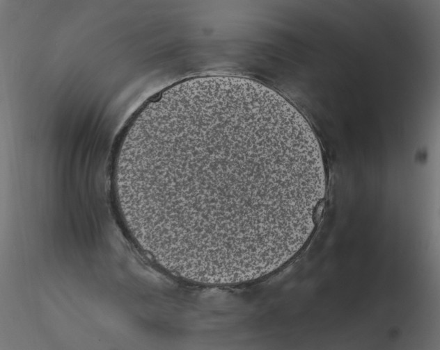 X0000116600290200912312103