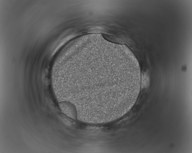 X0000116600291200912312103
