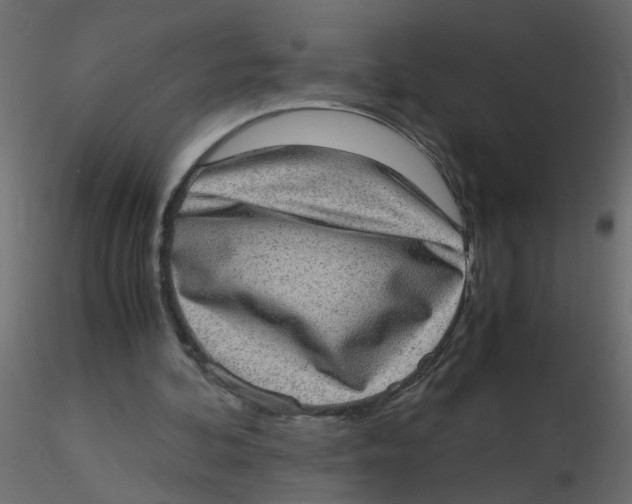 X0000116600292200912312103