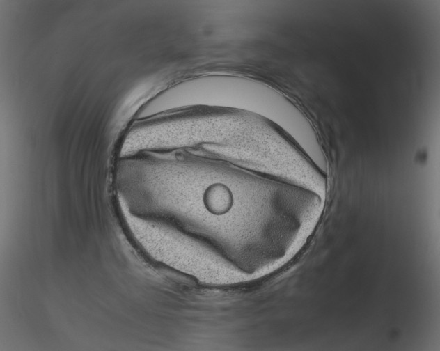 X0000116600293200912312103