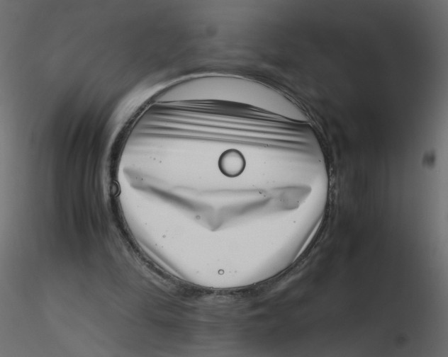 X0000116600294200912312103