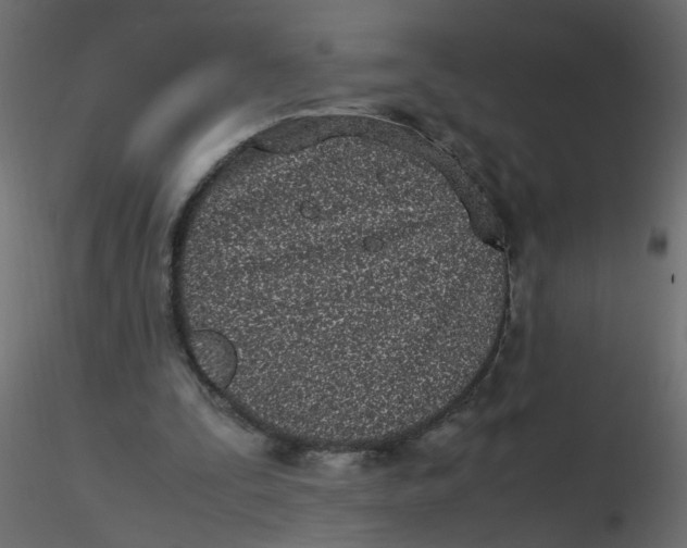 X0000116600295200912312103