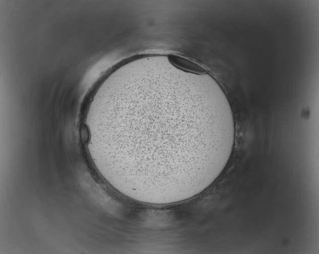 X0000116600296200912312103