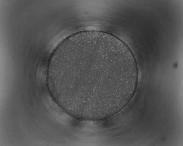 X0000116600297200912312103