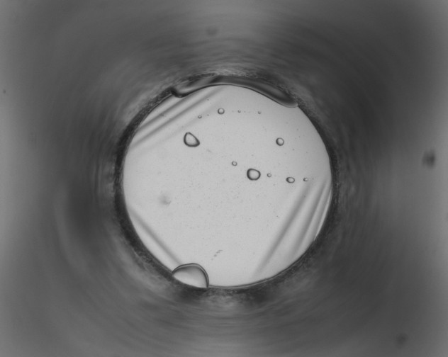 X0000116600299200912312102