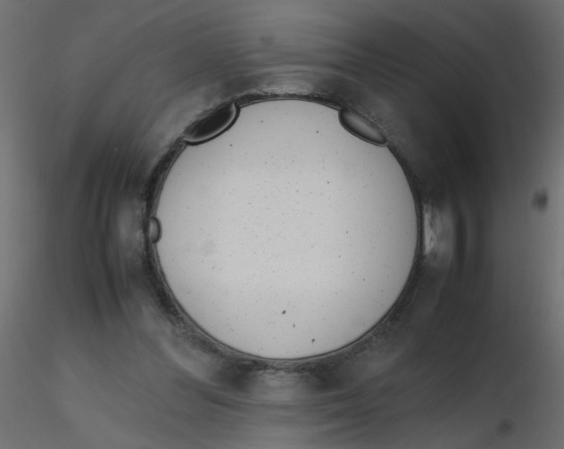 X0000116600300200912312102