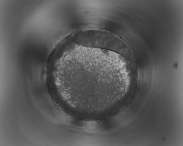 X0000116600301200912312102
