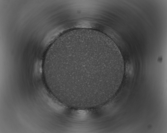 X0000116600302200912312102
