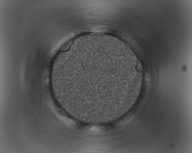 X0000116600303200912312102