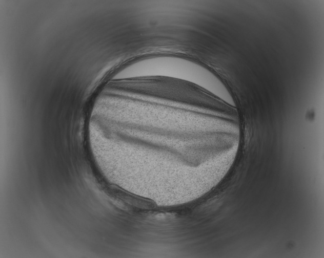 X0000116600304200912312102