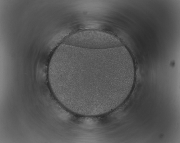 X0000116600305200912312102