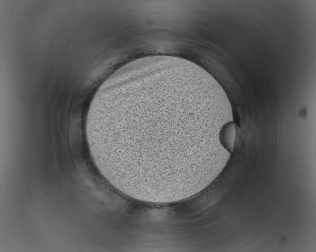 X0000116600306200912312102