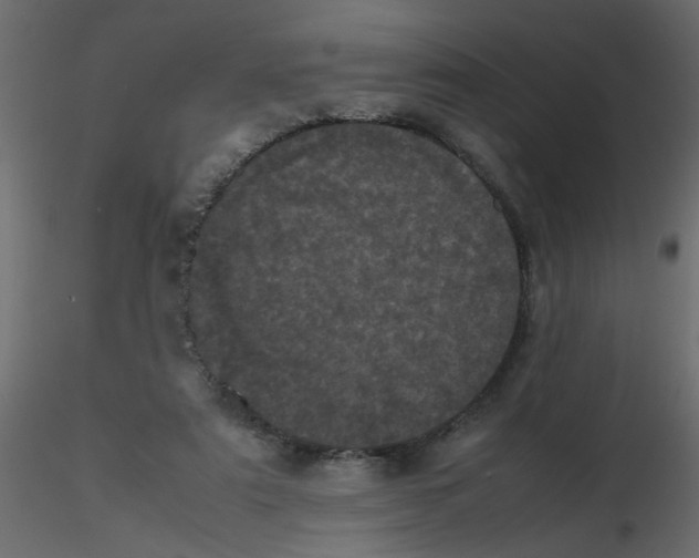 X0000116600307200912312102