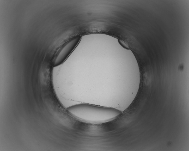 X0000116600308200912312102