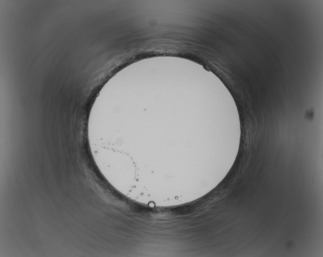 X0000116600309200912312102