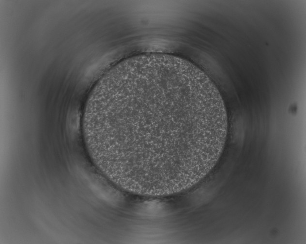 X0000116600310200912312102