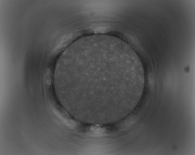 X0000116600311200912312102
