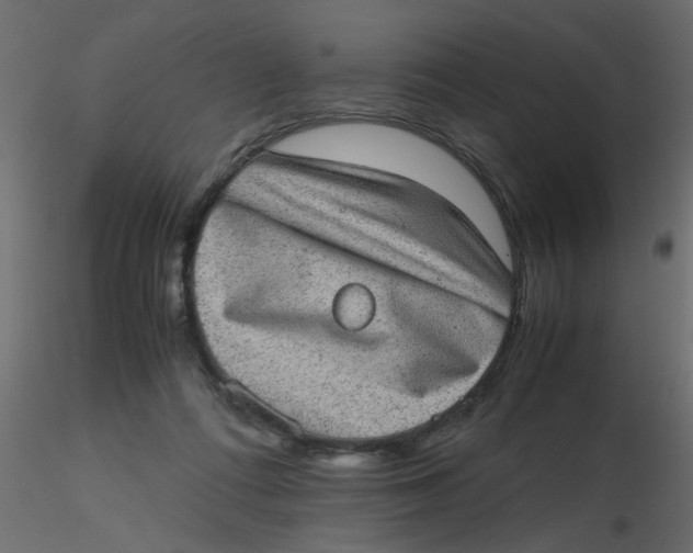 X0000116600312200912312102