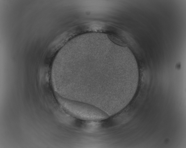 X0000116600313200912312102