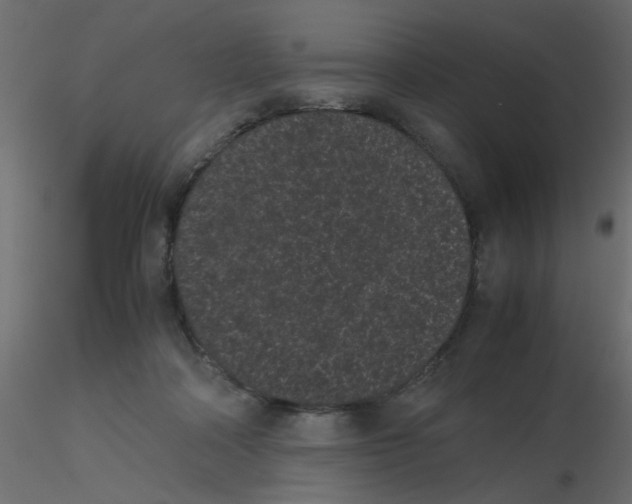 X0000116600314200912312102