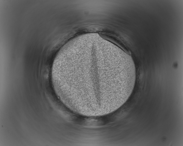 X0000116600315200912312102