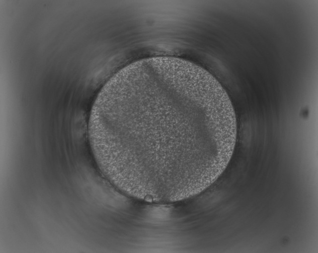 X0000116600318200912312102