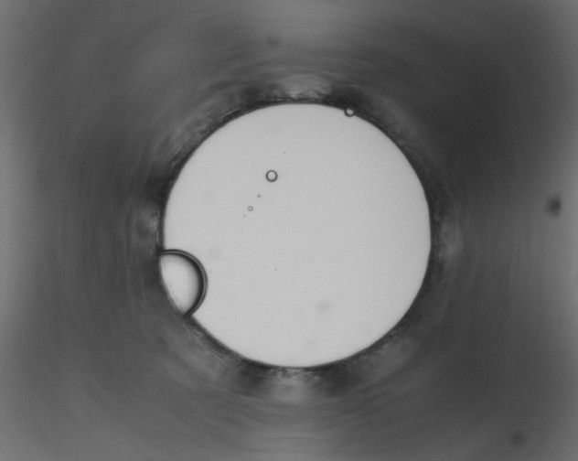 X0000116600321200912312102