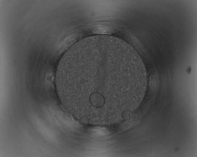 X0000116600322200912312102
