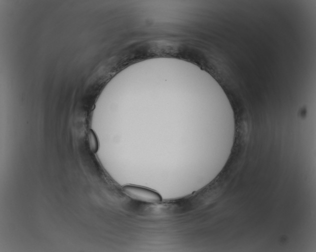 X0000116600323200912312102