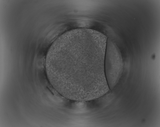 X0000116600325200912312102