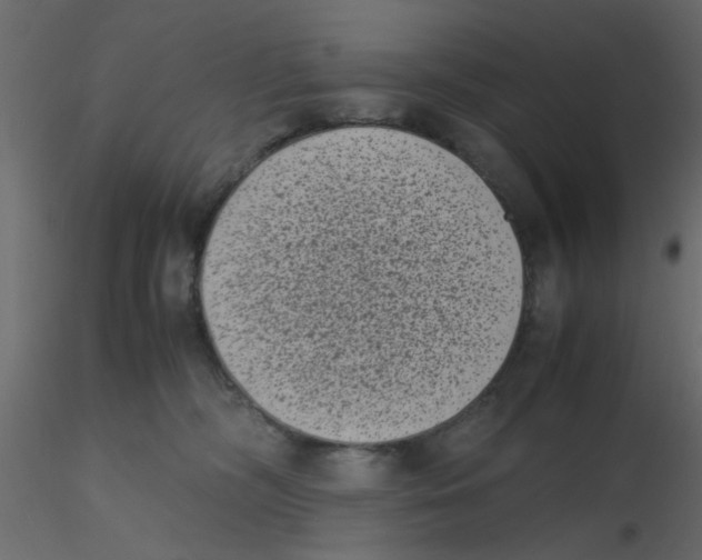 X0000116600326200912312102
